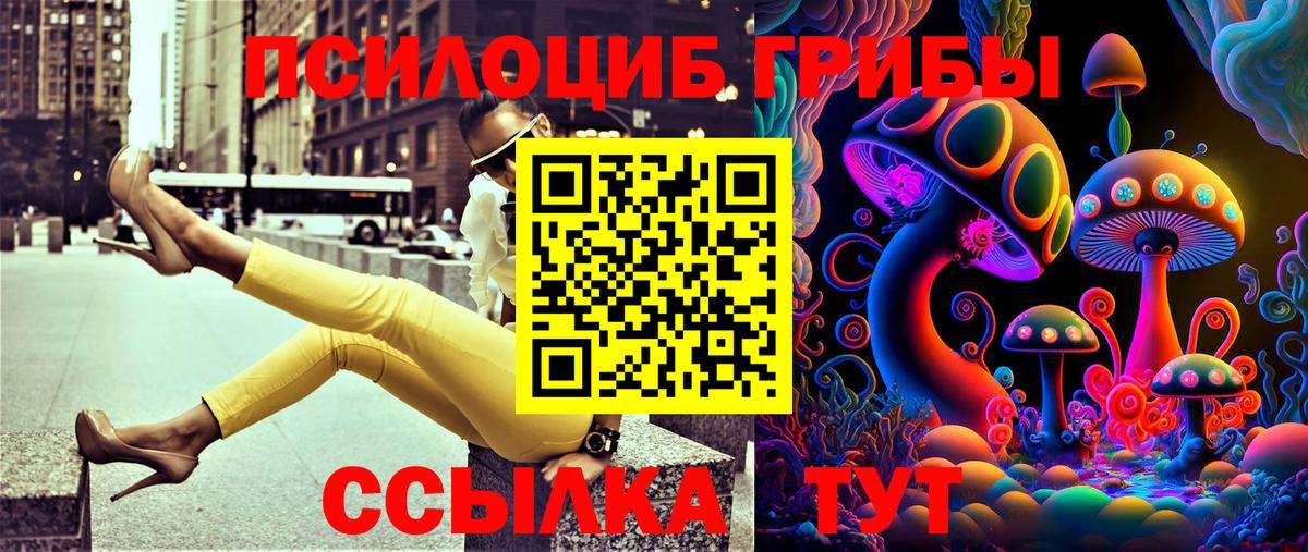 Галлюциногенные грибы Psilocybine cubensis Зерноград