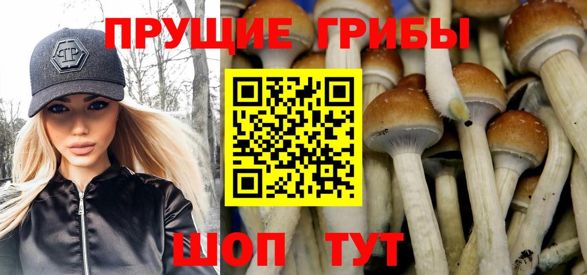 Псилоцибиновые грибы мухоморы  Галлюциногенные грибы ЛСД  Вход с VPN  Зерноград 